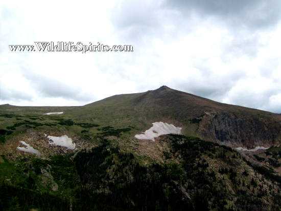 Click Picture to send as an  E-PostCard 65k 550x412